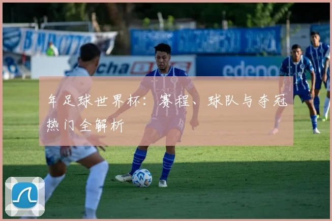 年足球世界杯：赛程、球队与夺冠热门全解析