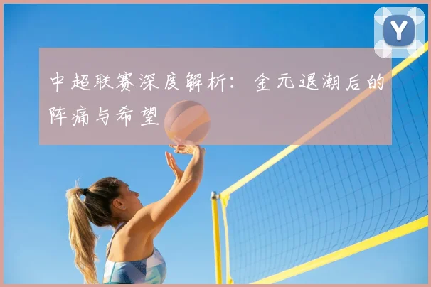 中超联赛深度解析：金元退潮后的阵痛与希望