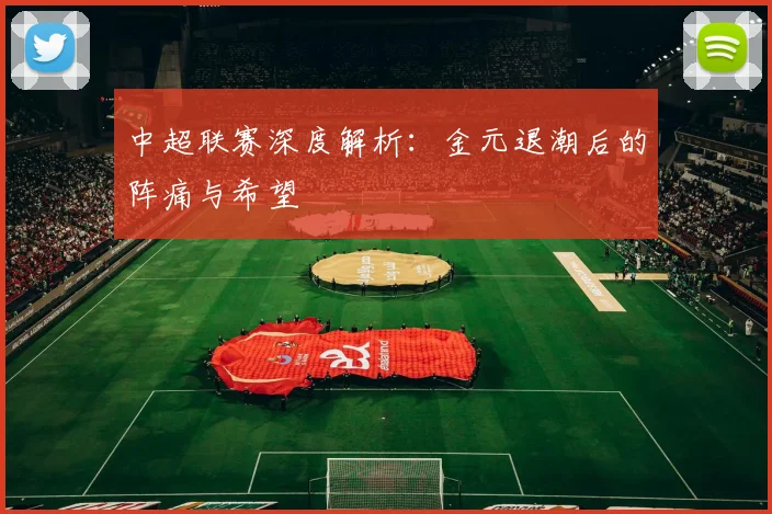 中超联赛深度解析：金元退潮后的阵痛与希望